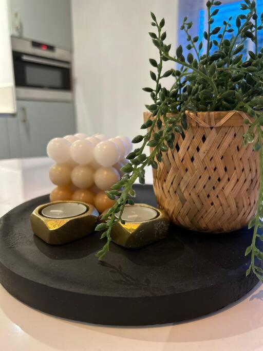 De Boet, Dicht Bij Duinen En Zee Villa Warmenhuizen Ngoại thất bức ảnh